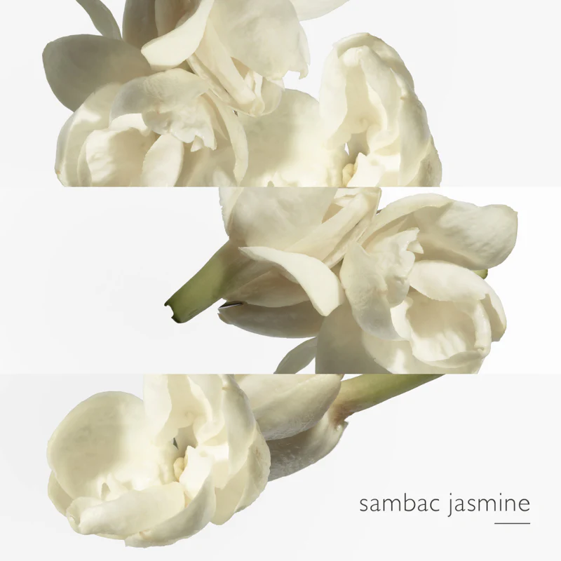 Immagine prodotto 10