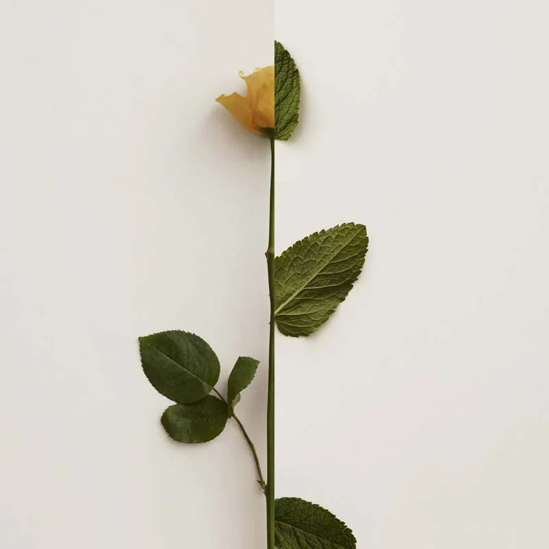 Immagine prodotto 12