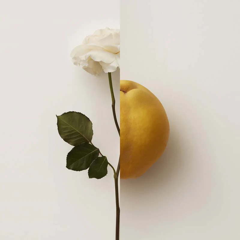 Immagine prodotto 10