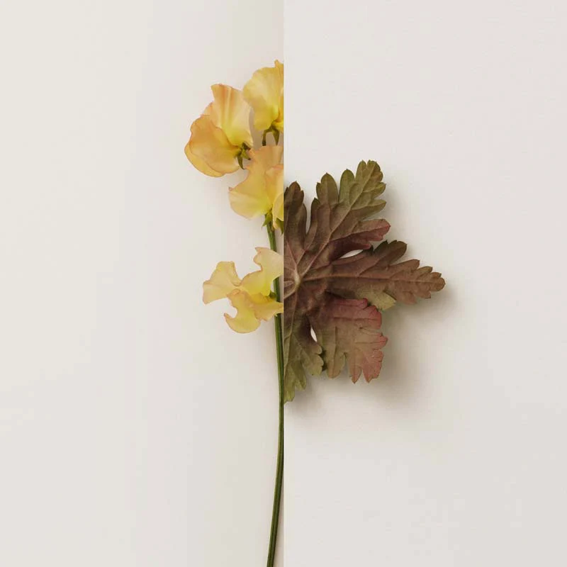 Immagine prodotto 11